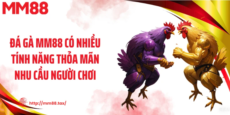 Đá gà MM88 có nhiều tính năng thỏa mãn nhu cầu người chơi